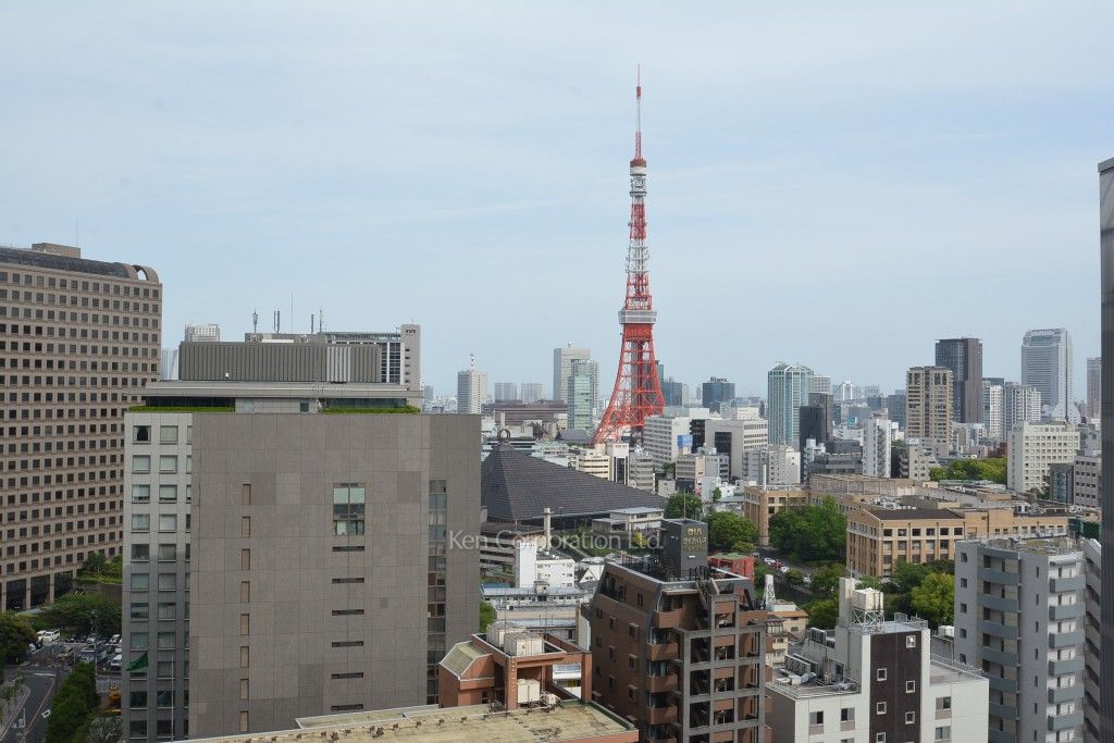 六本木グランドタワーレジデンスの写真 眺望