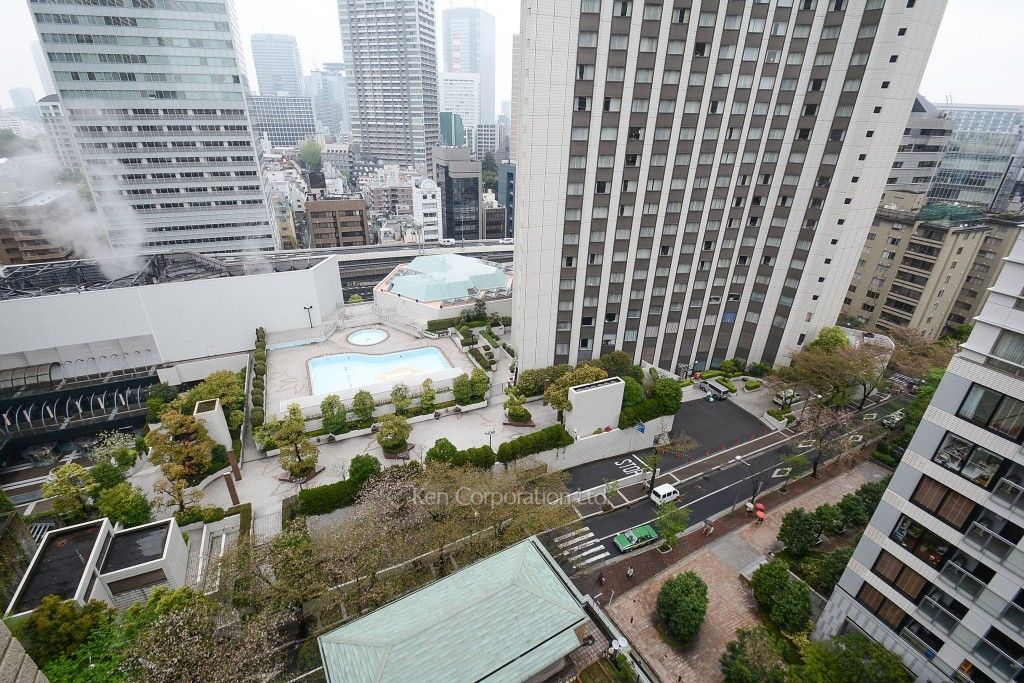 パークコート赤坂桜坂の写真 眺望