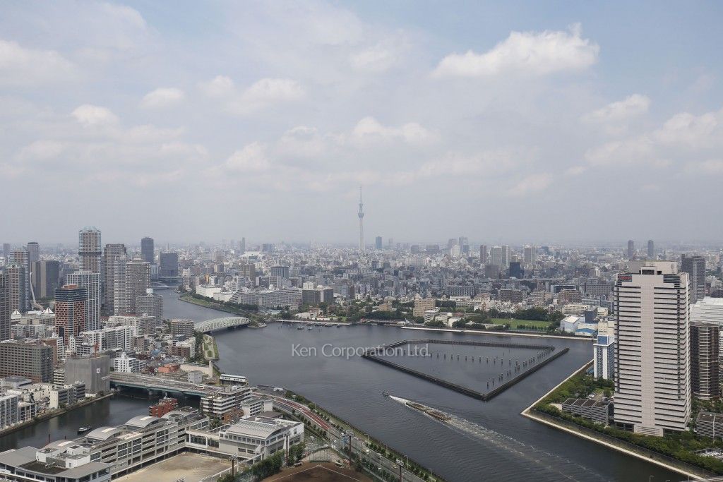 ザ・パークハウス晴海タワーズ ティアロレジデンスの写真 眺望