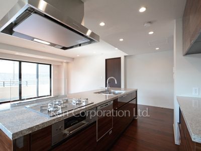 パークコート渋谷大山町 ザ プラネ 悠邸の写真 キッチン