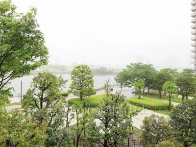 眺望（居室から）