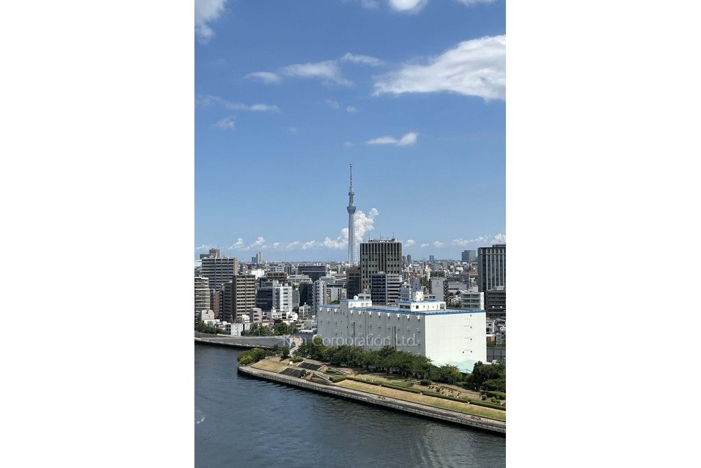 リバーシティ21イーストタワーズの写真 眺望（居室から）