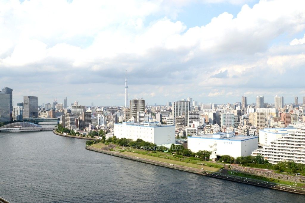 リバーシティ21イーストタワーズの写真 眺望（居室から）
