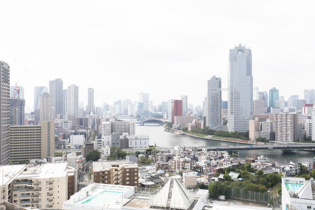 リバーシティ21イーストタワーズの写真 眺望（居室から）