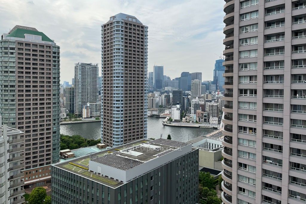 リバーシティ21イーストタワーズの写真 眺望（居室から）