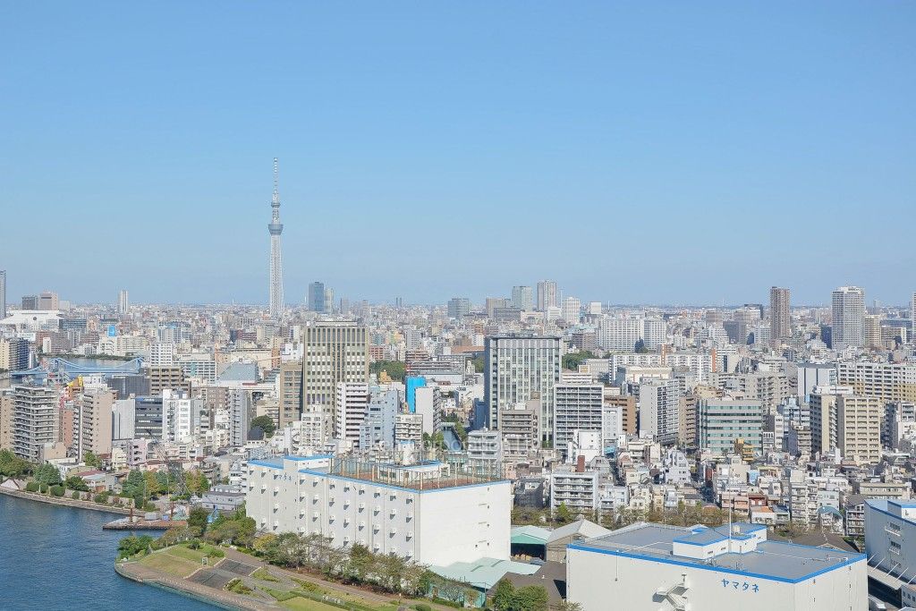 リバーシティ21イーストタワーズの写真 眺望（居室から）