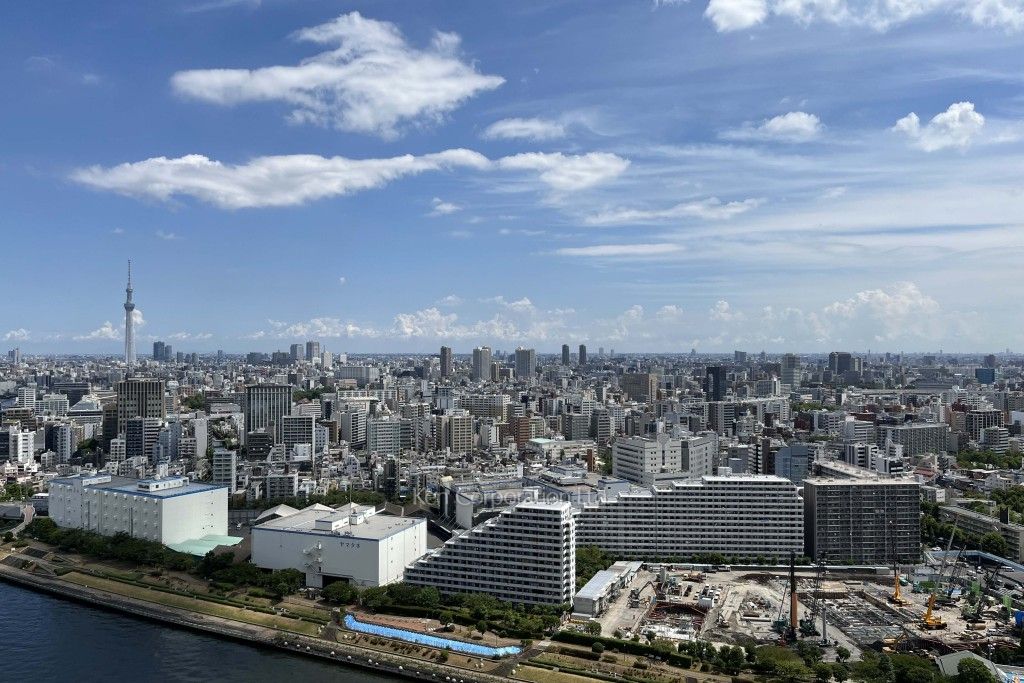 リバーシティ21イーストタワーズの写真 眺望（居室から）