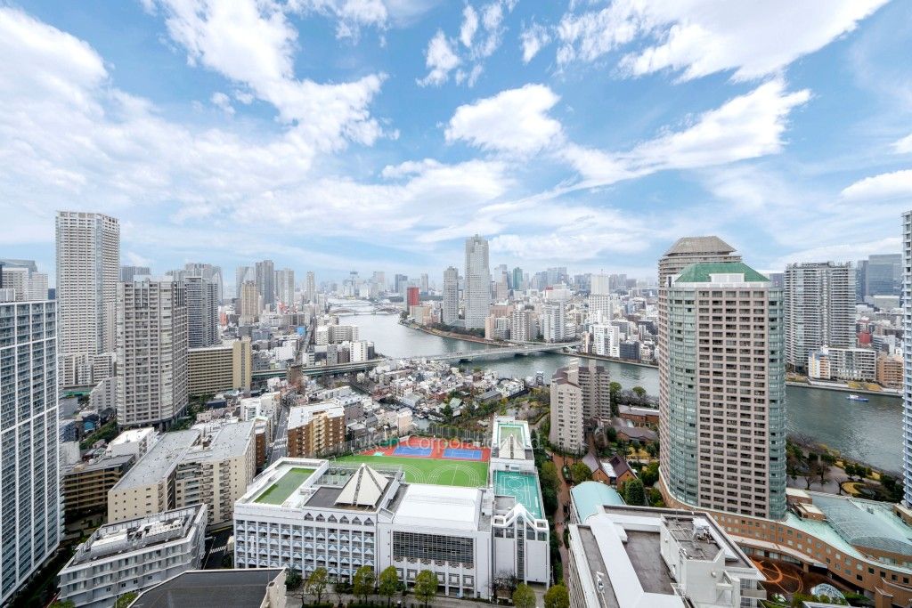 リバーシティ21イーストタワーズの写真 眺望（居室から）