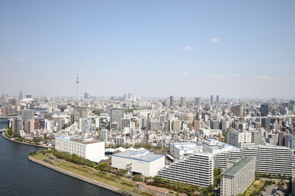リバーシティ21イーストタワーズの写真 眺望（居室から）