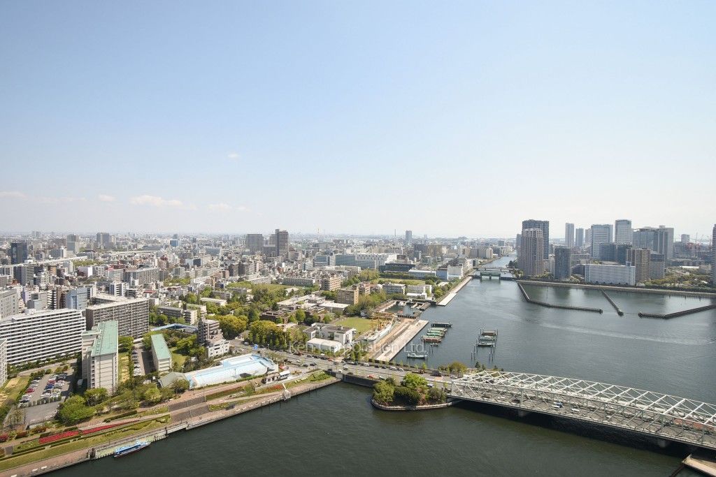 リバーシティ21イーストタワーズの写真 眺望（居室から）