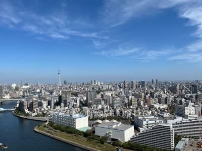 リバーシティ21イーストタワーズの写真 眺望（居室から）