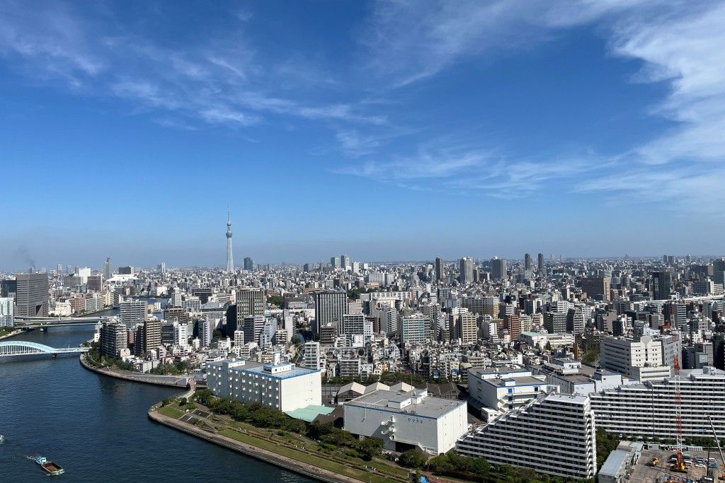 リバーシティ21イーストタワーズの写真 眺望（居室から）