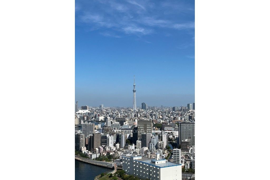 リバーシティ21イーストタワーズの写真 眺望（居室から）