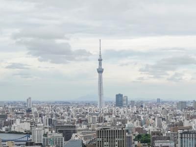 リバーシティ21イーストタワーズの写真 眺望（居室から）
