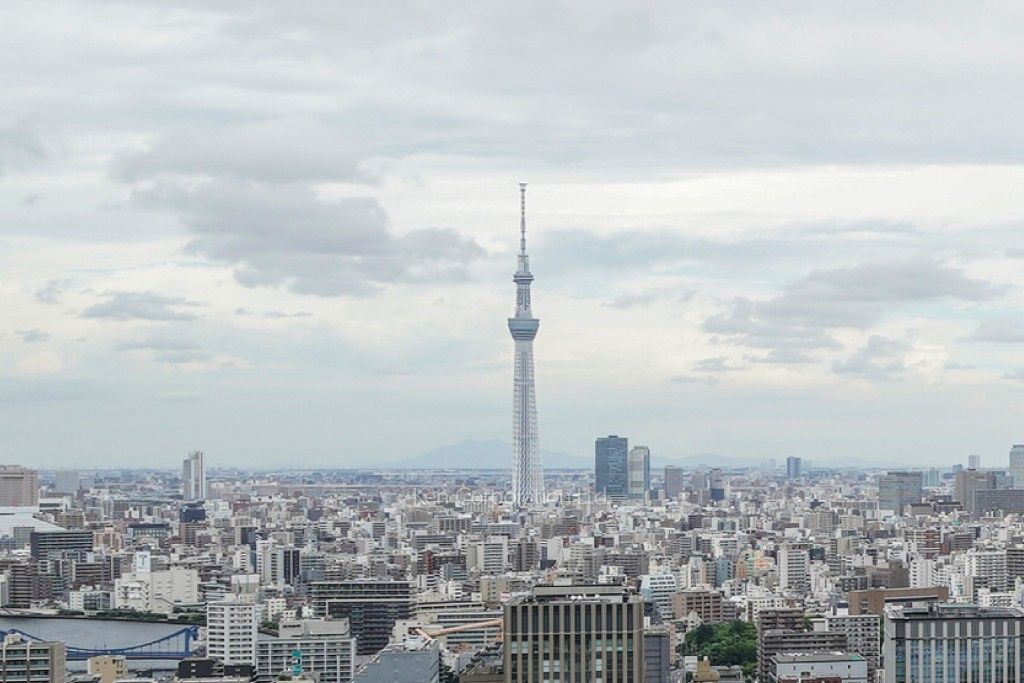 リバーシティ21イーストタワーズの写真 眺望（居室から）