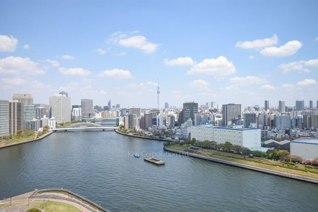 リバーシティ21イーストタワーズⅡの写真 眺望（居室から）