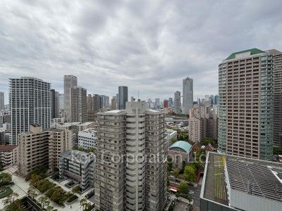リバーシティ21イーストタワーズⅡの写真 眺望（居室から）