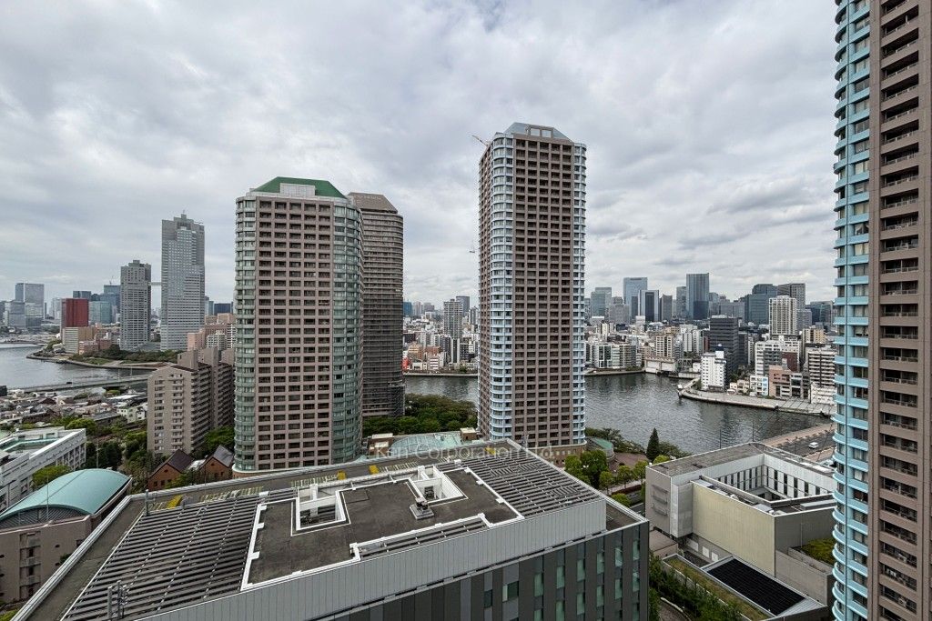 リバーシティ21イーストタワーズⅡの写真 眺望（居室から）