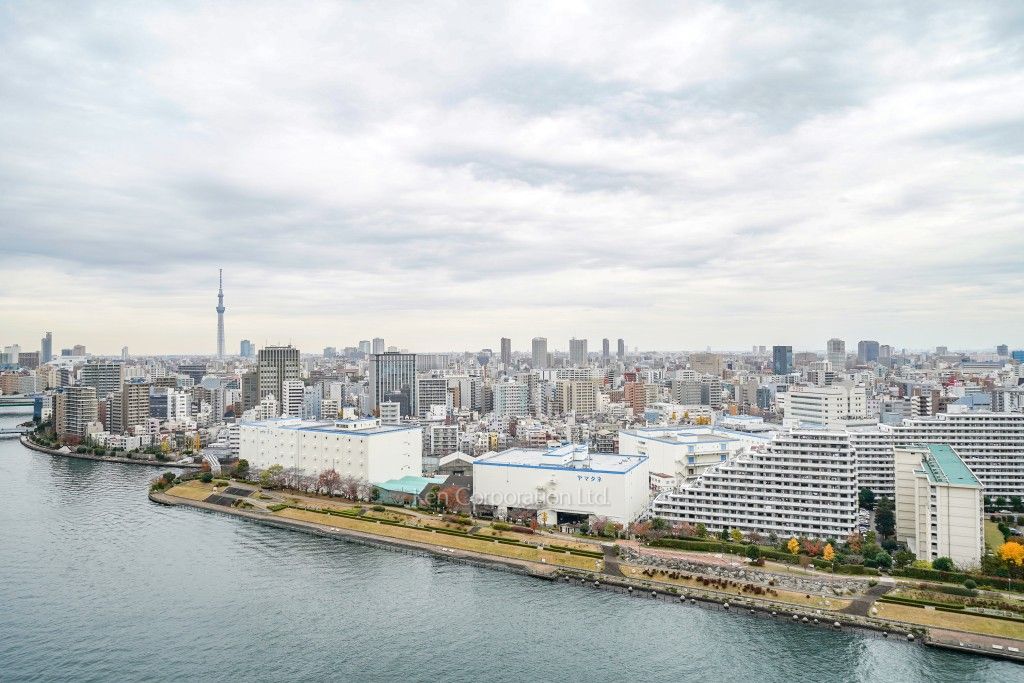 リバーシティ21イーストタワーズⅡの写真 眺望（居室から）
