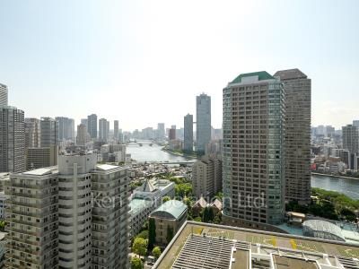 リバーシティ21イーストタワーズⅡの写真 眺望（居室から）