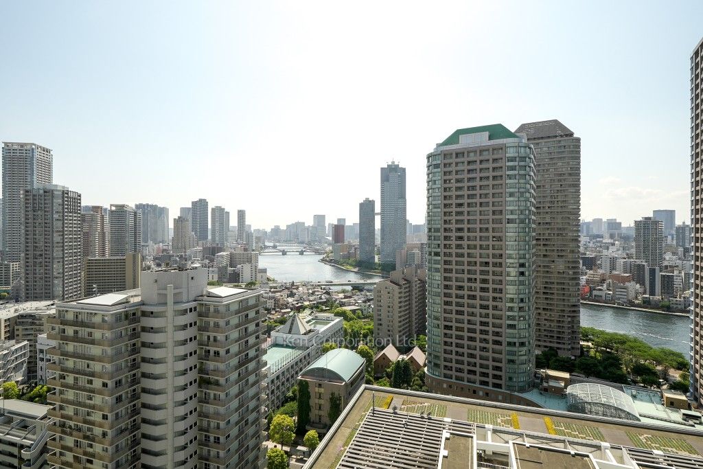 リバーシティ21イーストタワーズⅡの写真 眺望（居室から）