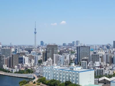 リバーシティ21イーストタワーズⅡの写真 眺望（居室から）