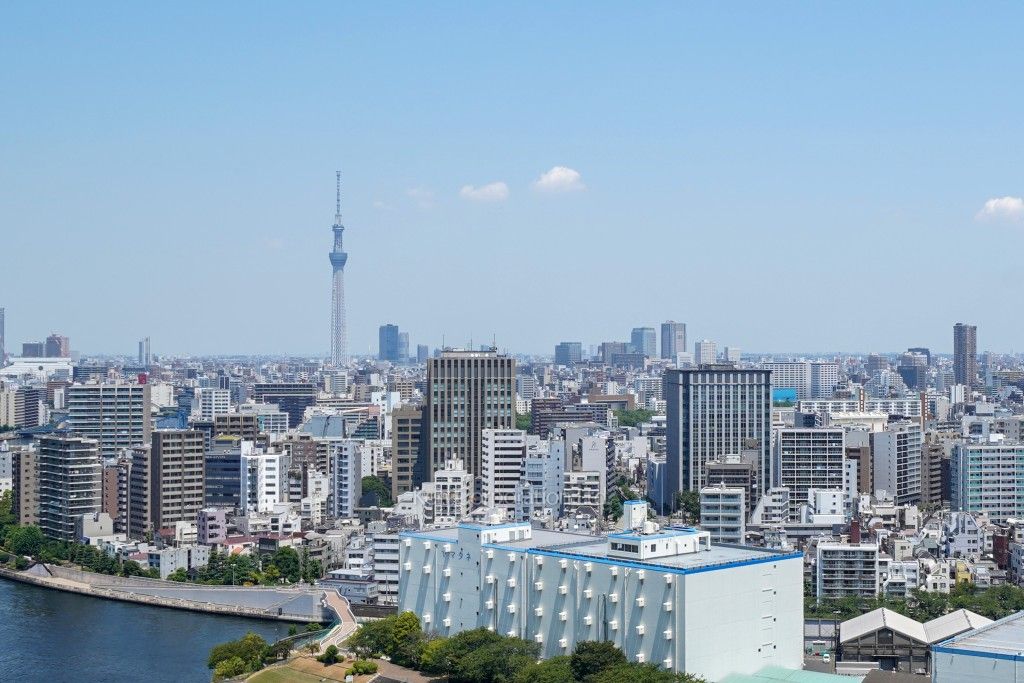 リバーシティ21イーストタワーズⅡの写真 眺望（居室から）