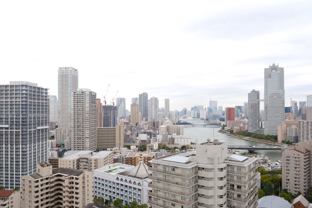 リバーシティ21イーストタワーズⅡの写真 眺望（居室から）