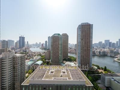 リバーシティ21イーストタワーズⅡの写真 眺望（居室から）