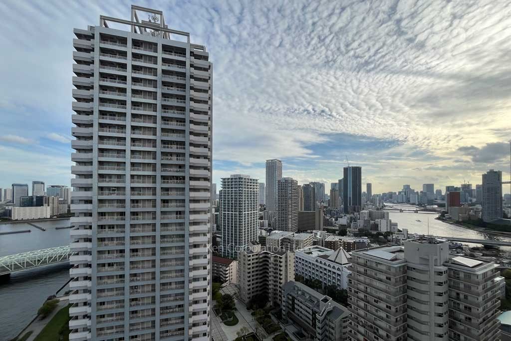 リバーシティ21イーストタワーズⅡの写真 眺望（居室から）