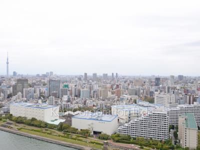 眺望（居室から）
