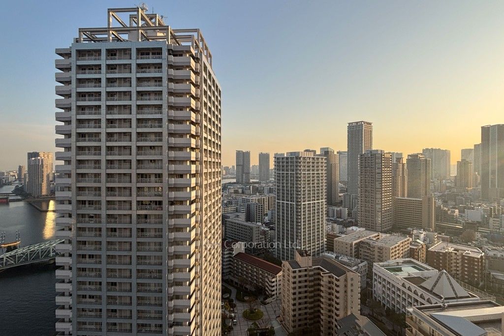 リバーシティ21イーストタワーズⅡの写真 眺望（居室から）