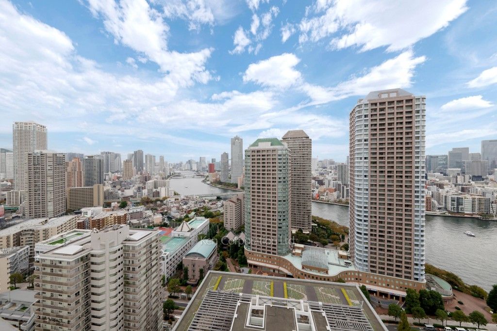 リバーシティ21イーストタワーズⅡの写真 眺望（居室から）