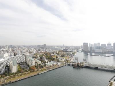 リバーシティ21イーストタワーズⅡの写真 眺望（居室から）