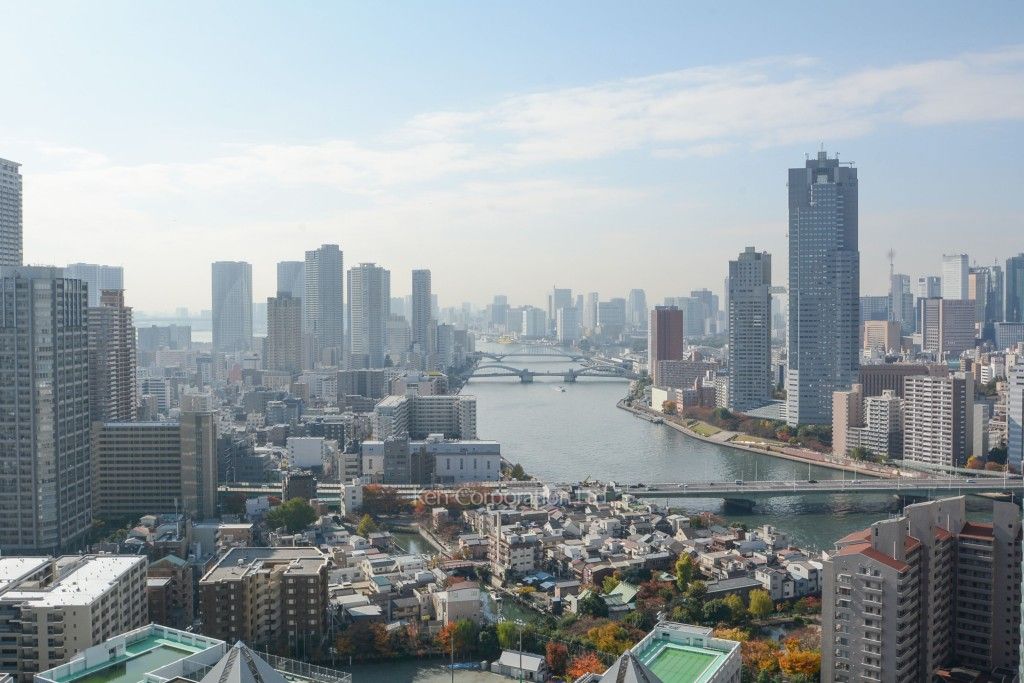 眺望（居室から）
