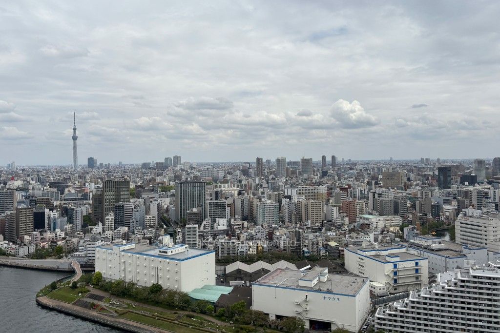 リバーシティ21イーストタワーズⅡの写真 眺望（居室から）