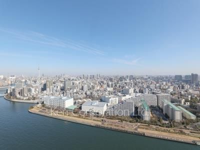 リバーシティ21イーストタワーズⅡの写真 眺望（居室から）