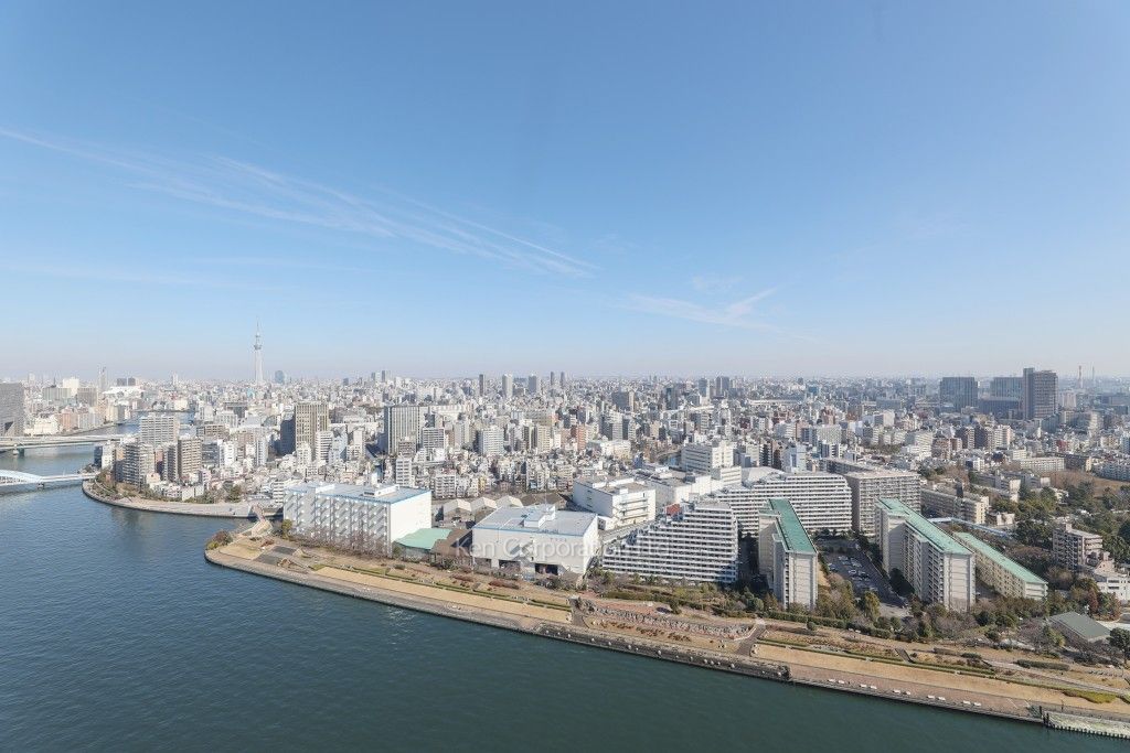 リバーシティ21イーストタワーズⅡの写真 眺望（居室から）