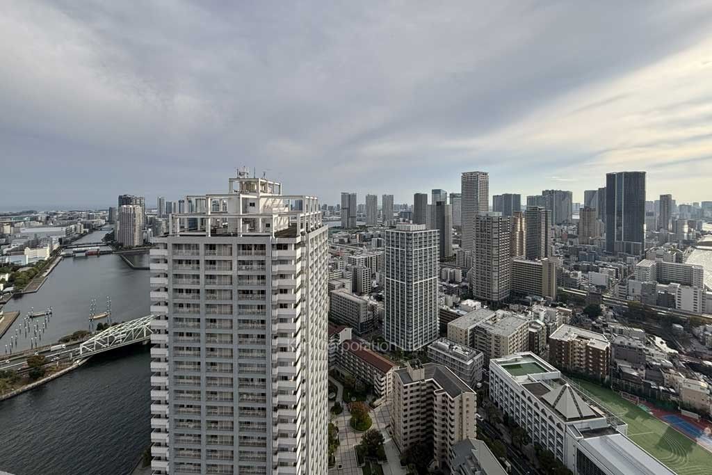 リバーシティ21イーストタワーズⅡの写真 眺望（居室から）