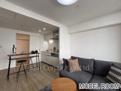 居室（LDなど）　※MODEL ROOM