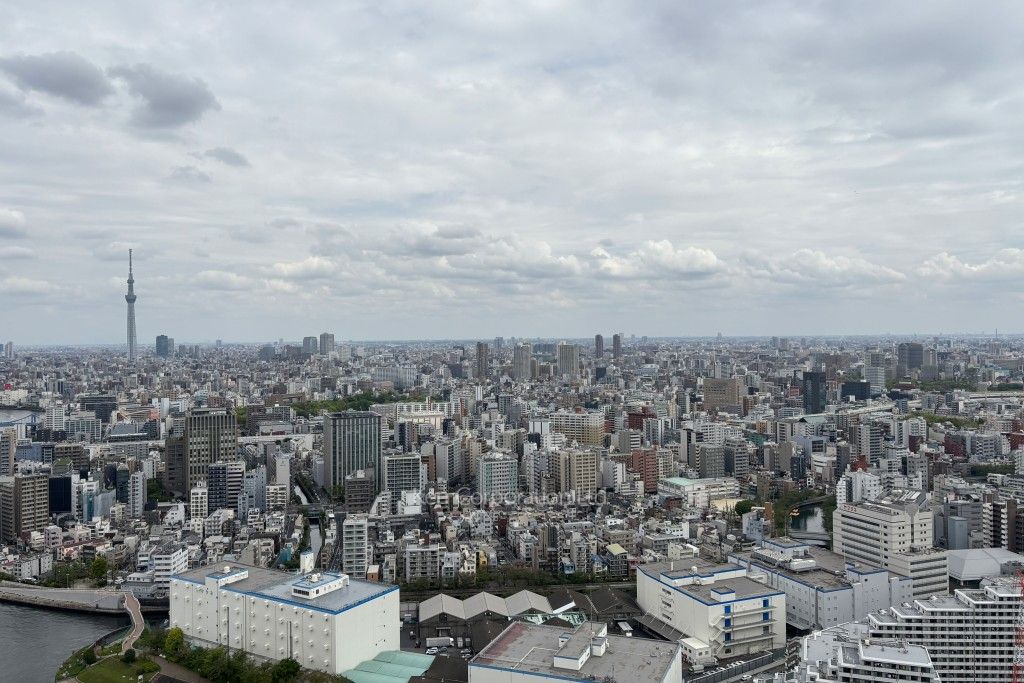 リバーシティ21イーストタワーズⅡの写真 眺望（居室から）