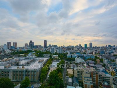 シティタワー麻布十番の写真 眺望（居室から）