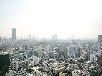 パークハウス芝タワーの写真 眺望