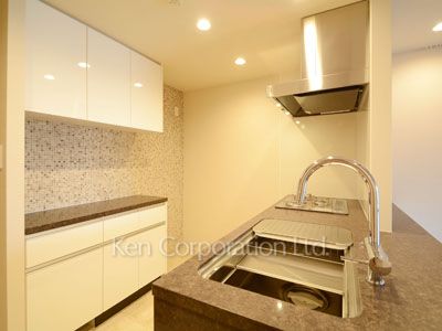 オープンレジデンシア恵比寿ザ・ハウスの写真 キッチン