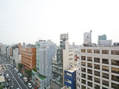 ウェンブリー表参道の写真 眺望（居室から）