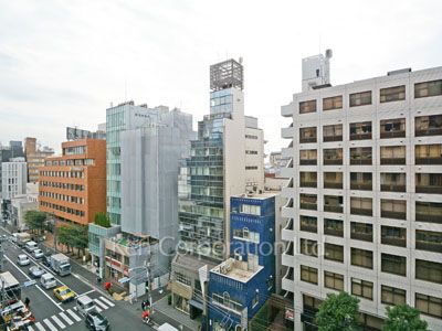 ウェンブリー表参道の写真 眺望（居室から）