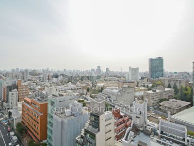 ウェンブリー表参道の写真 眺望