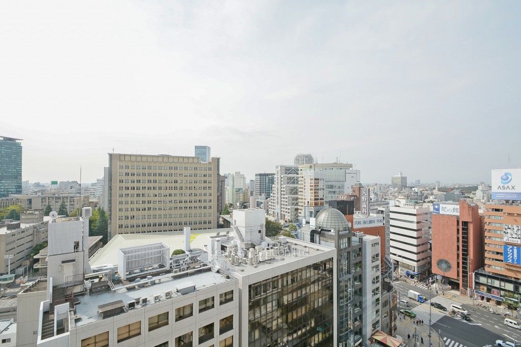 ウェンブリー表参道の写真 眺望