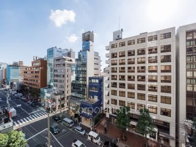 ウェンブリー表参道の写真 眺望（居室から）