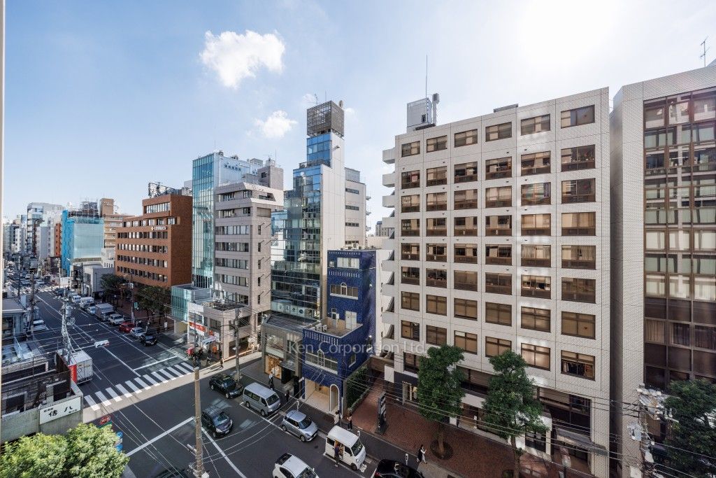 ウェンブリー表参道の写真 眺望（居室から）